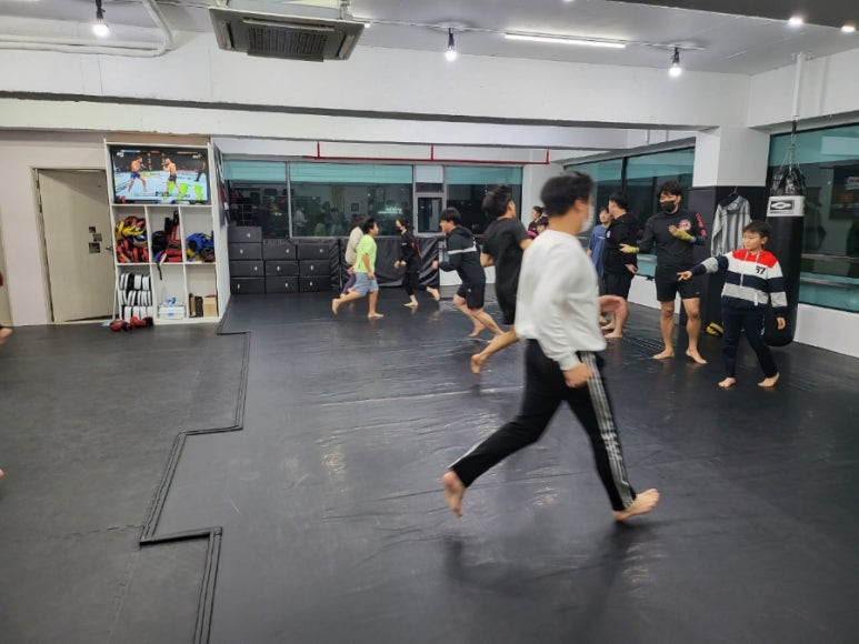 태평미트 이미지