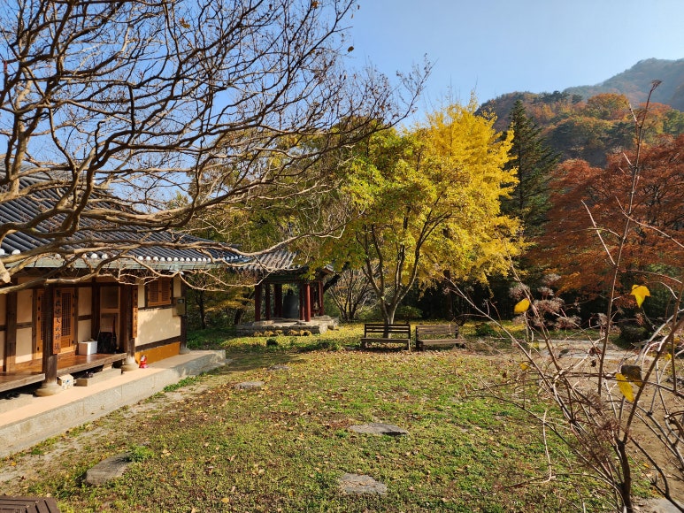 달멍스테이 이미지