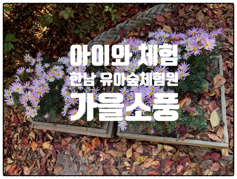 한남 유아숲체험원 이미지