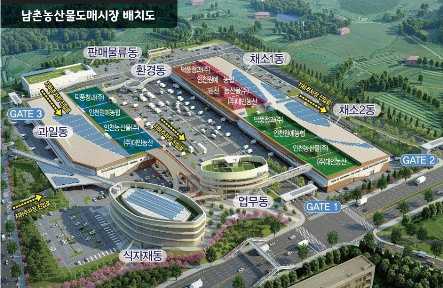 쌍둥이과일 이미지