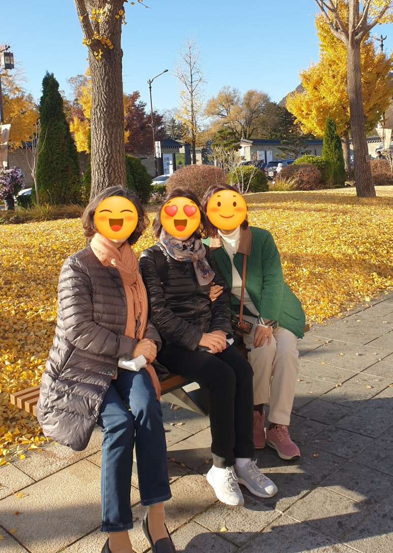 함께가는 여인들 이미지