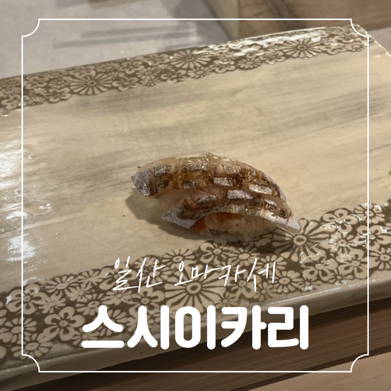 스시이카리 이미지