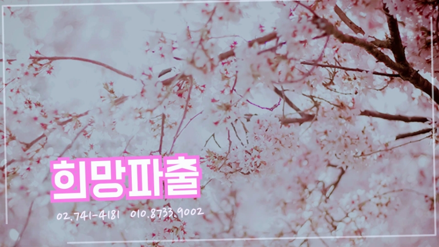 행복파출 이미지