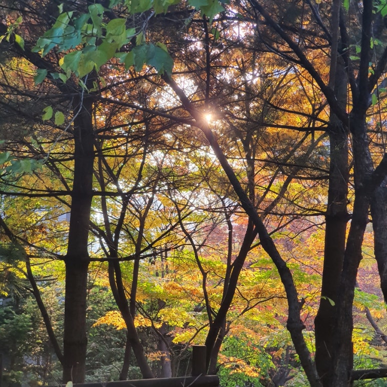 (주)타워차이 타워팰리스점 이미지