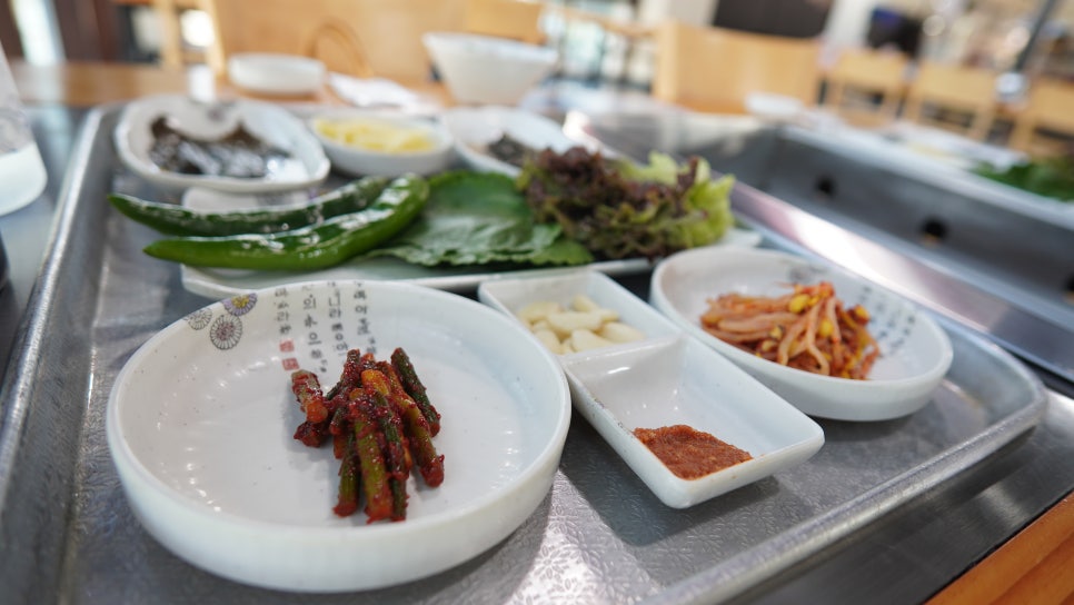 서파장어랜드 이미지