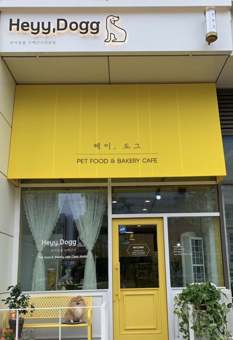 헤이도그 이미지