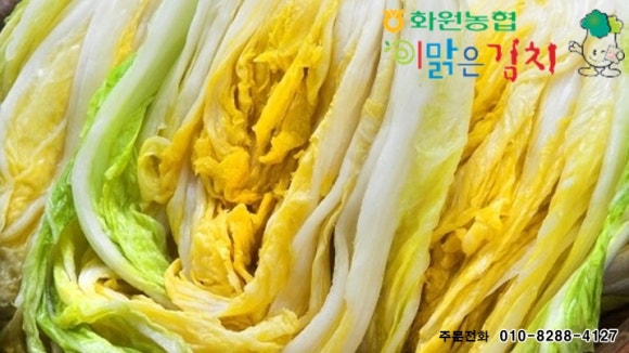 땅끝농협 이미지
