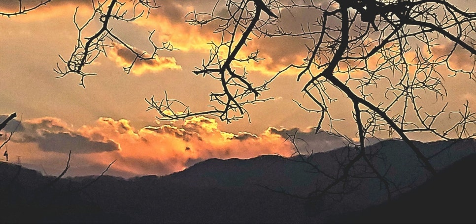 산뜰애추평호산뜰애마을 이미지