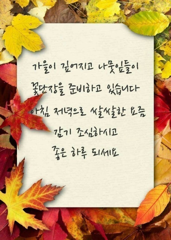 목련통합재가센터 이미지
