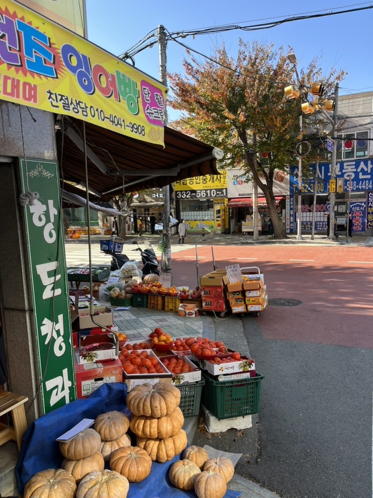 항도청과 이미지