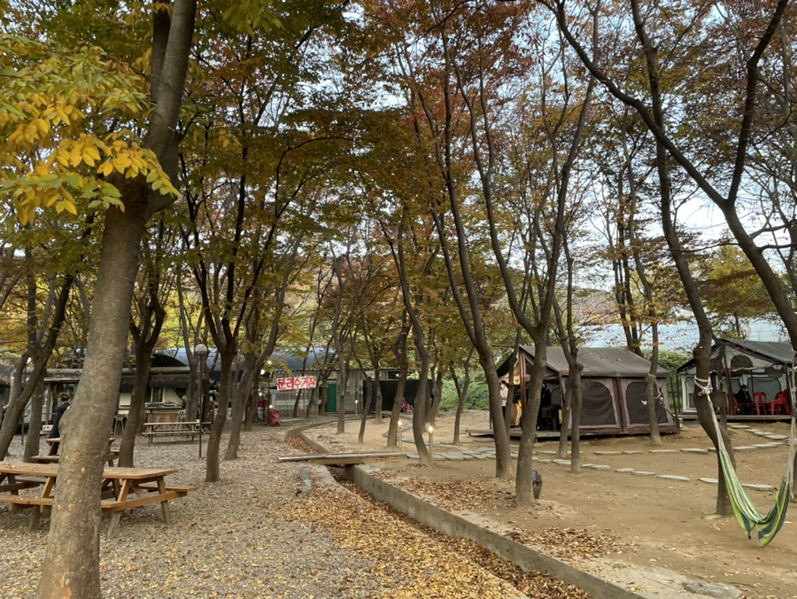 광명한우타운식당 이미지
