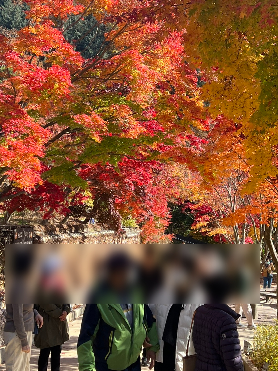 (주)행복은행나무 이미지