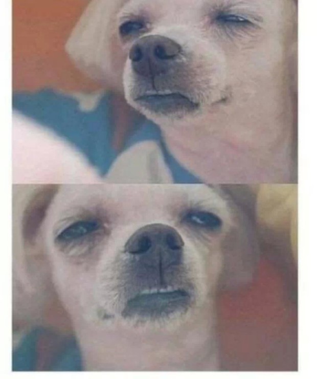 와와분식 이미지