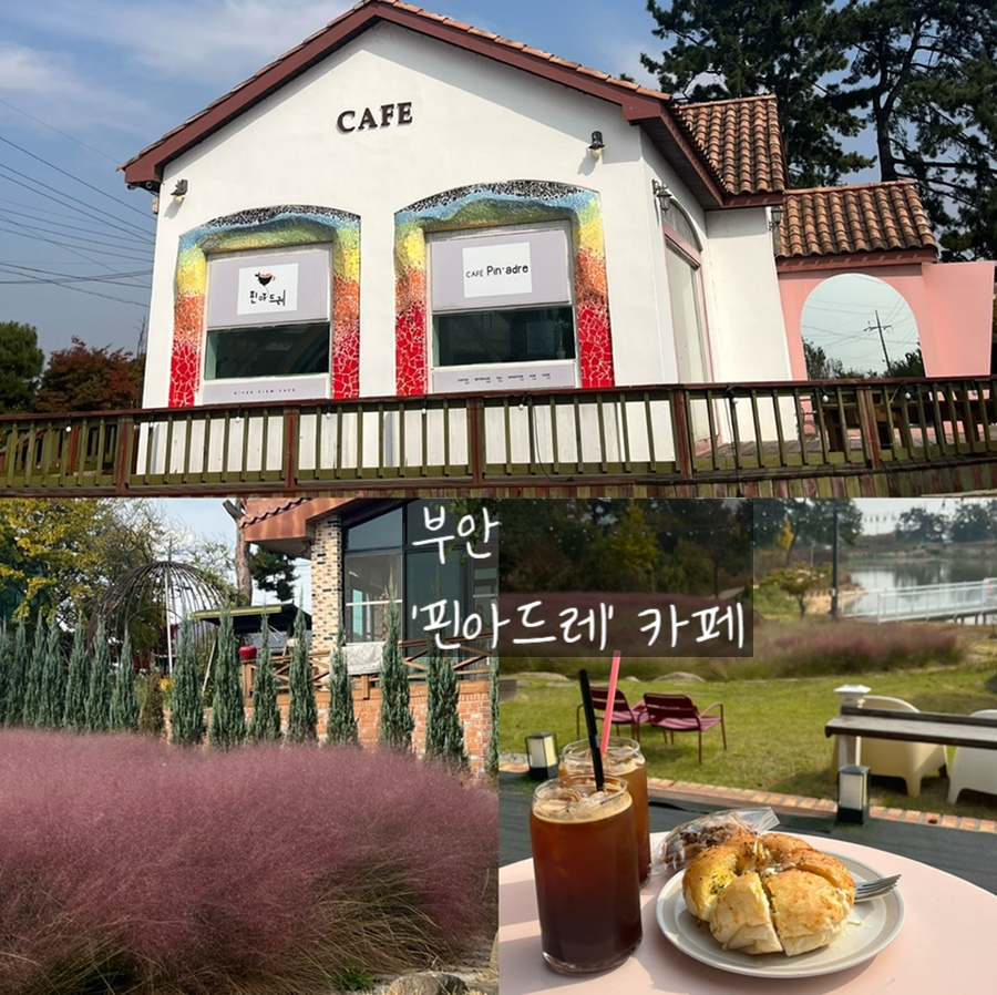 핀아드레 이미지