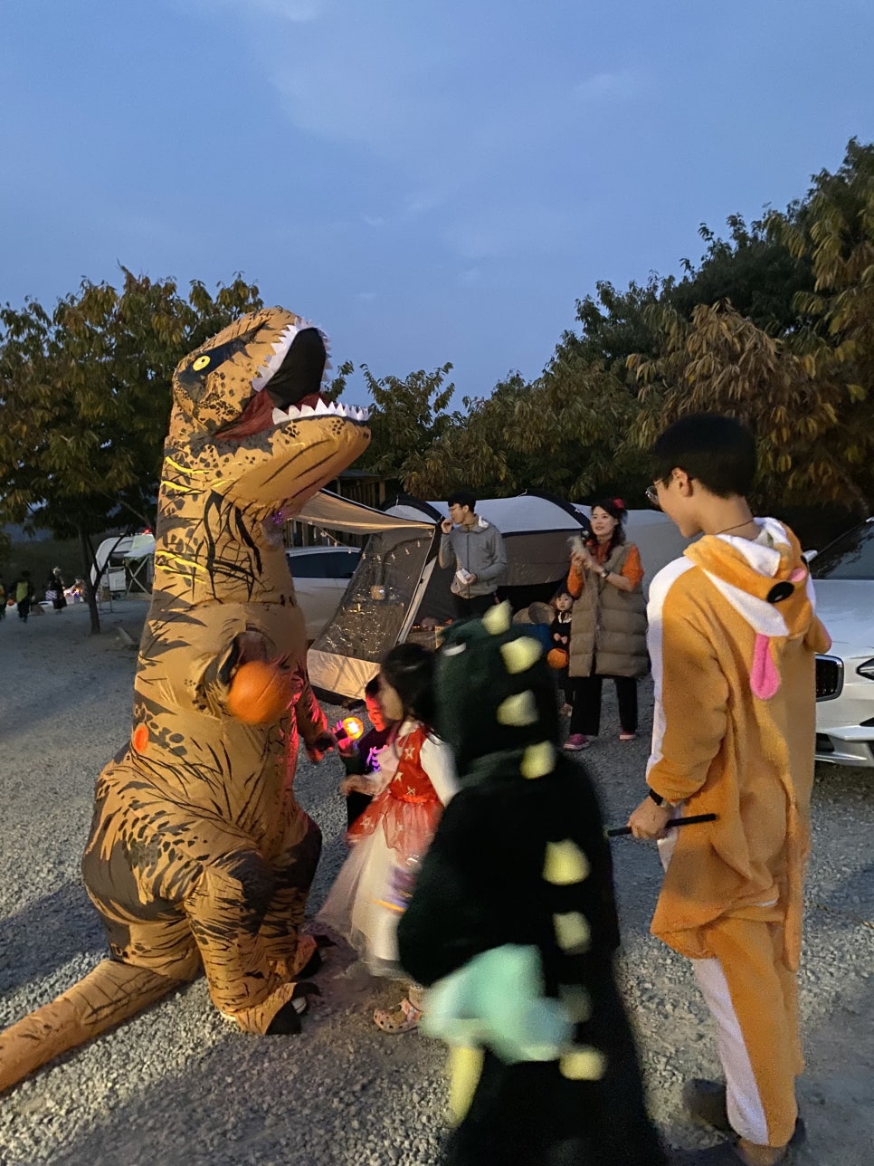 트리팜 관광농원 이미지