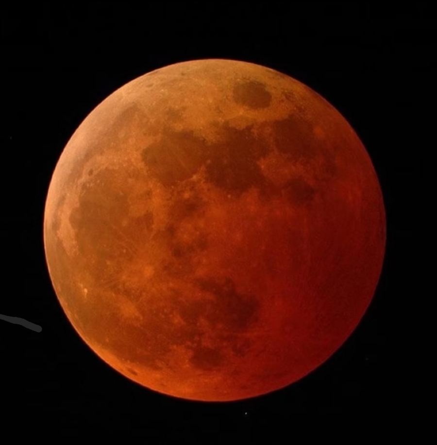 Moon글램핑 이미지