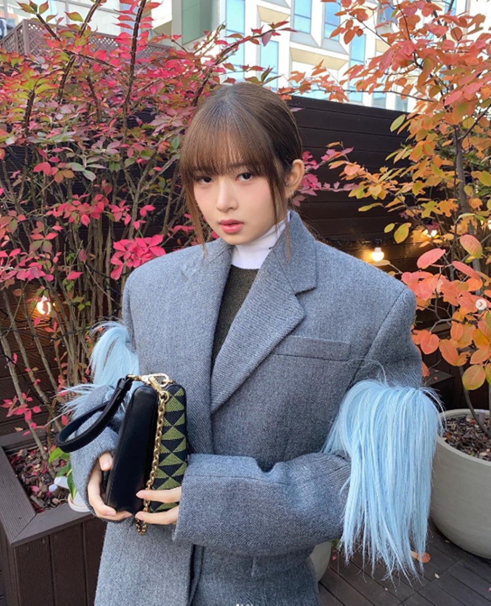 시아디자인 이미지