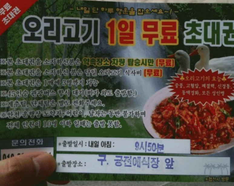 오리세상 이미지