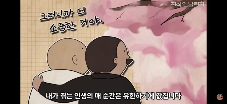 국제오리 이미지