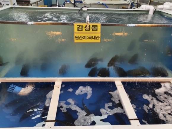 동부수산회센터 이미지