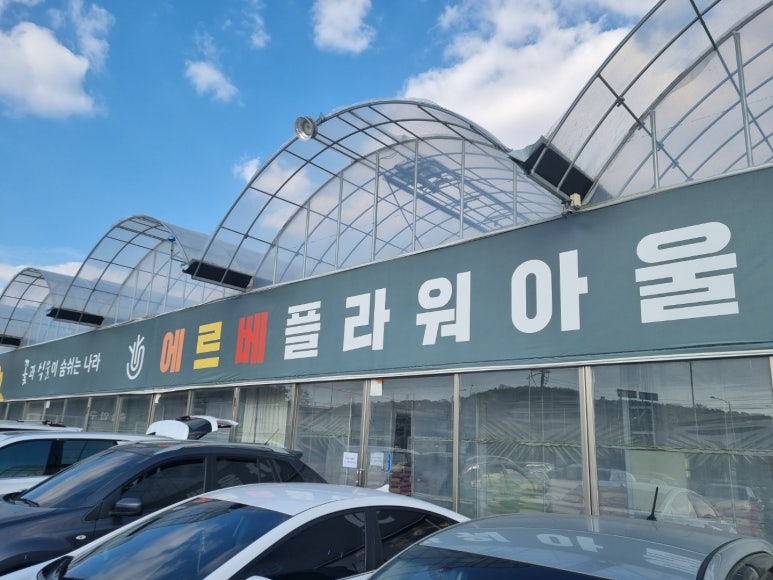 쎄드데플란타 이미지