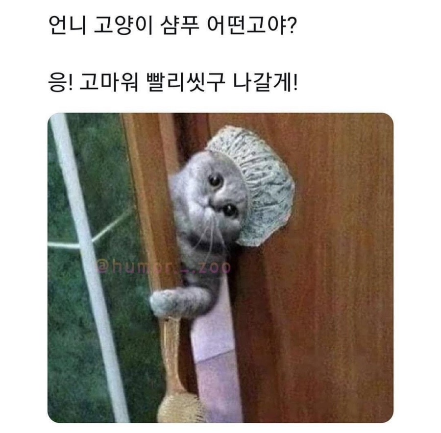 (주)힐링 이미지