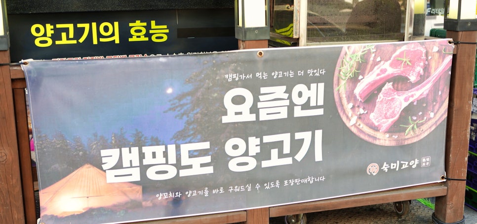 숙미고양 이미지