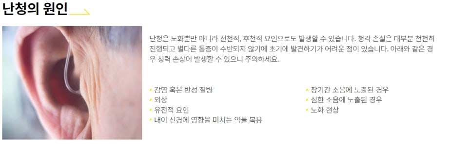 렉스톤 보청기 양천지사 이미지