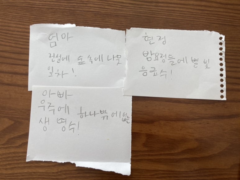 별빛녹즙 이미지