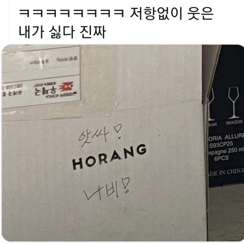 나이스21 이미지