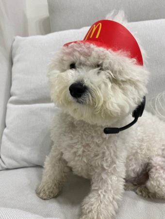 봉숙이 이미지