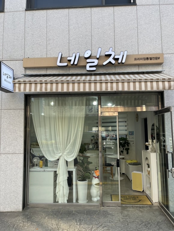 네일체 이미지