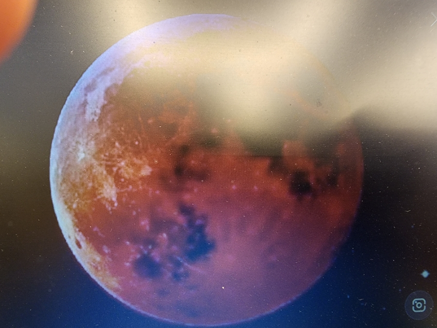 Moon글램핑 이미지