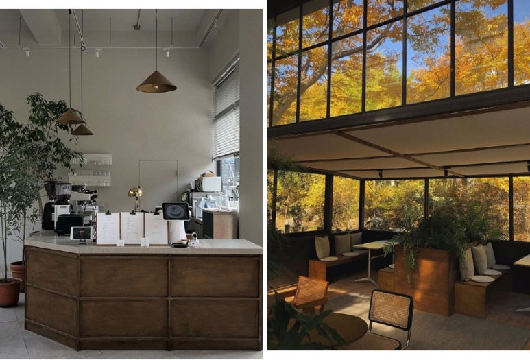 숲coffeeroasters 이미지