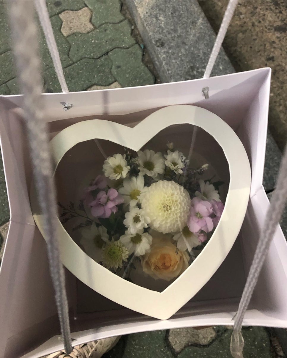 땅트플레르 이미지