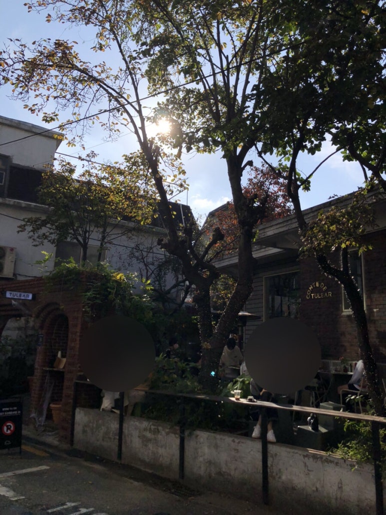 맘스터치서울 이미지