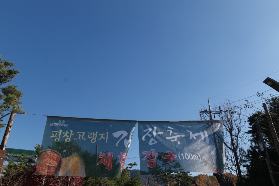 하이디여행사 이미지