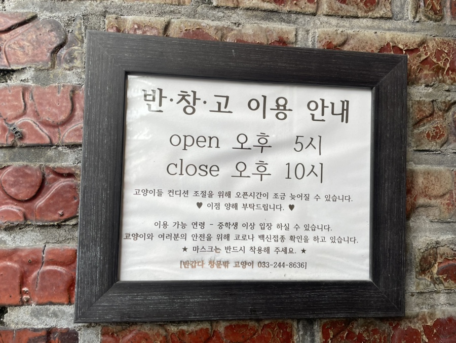 반갑다창문밖고양이 이미지
