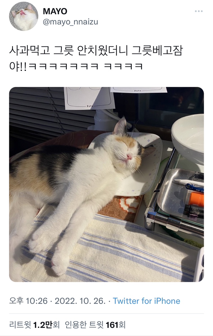 촨차이 이미지