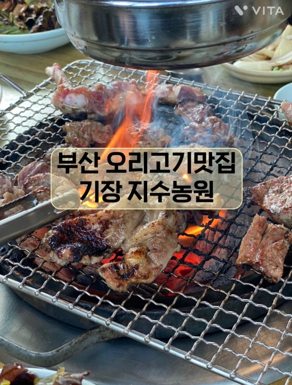 지수농원 이미지