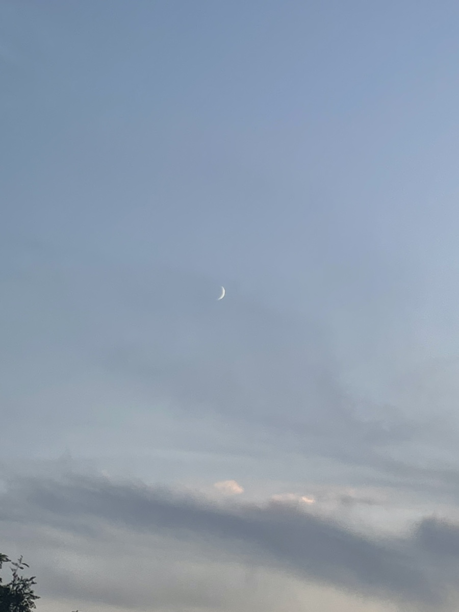 화락바베큐치킨평택비전점 이미지