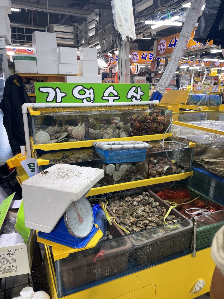 가연수산 이미지