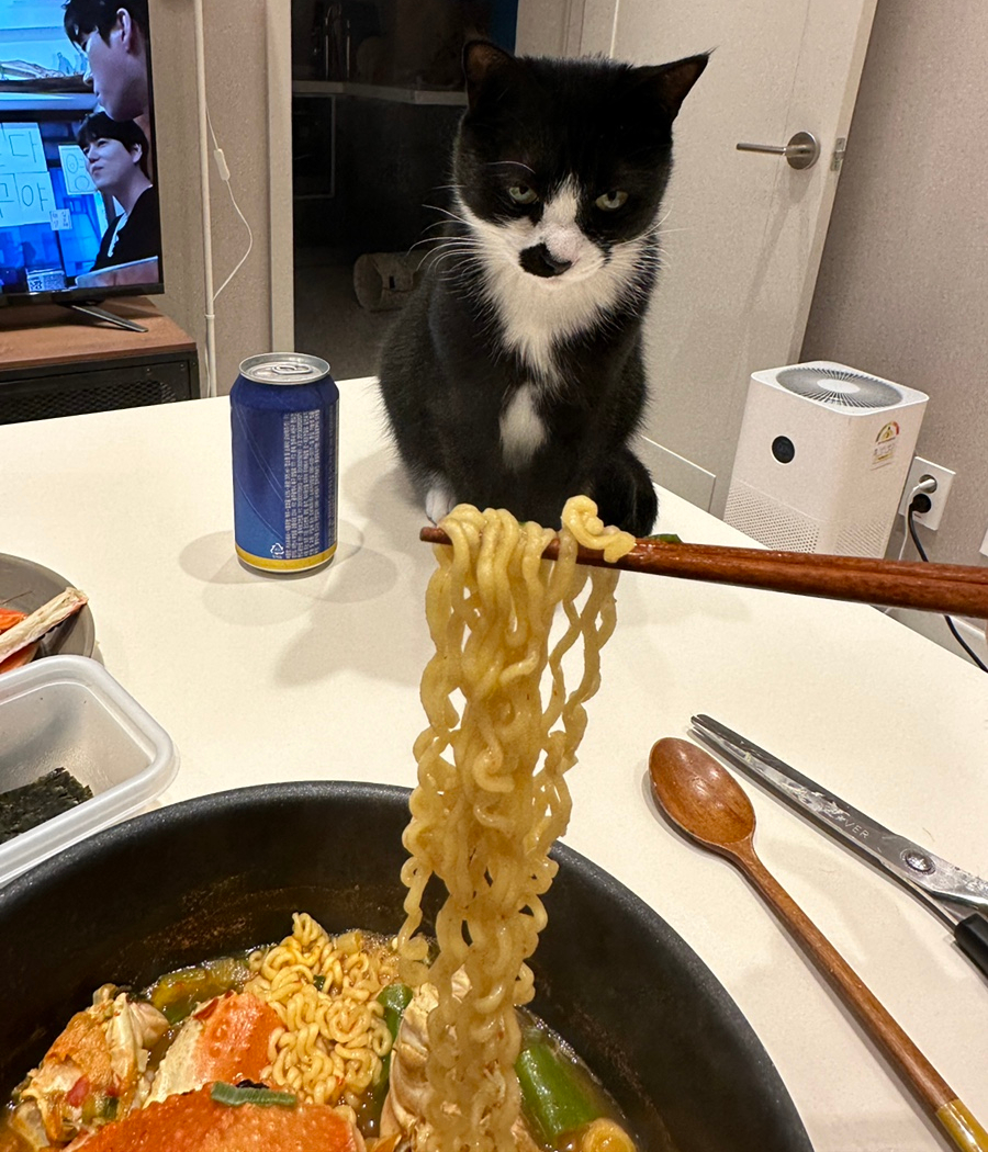 킹콩씨푸드 이미지