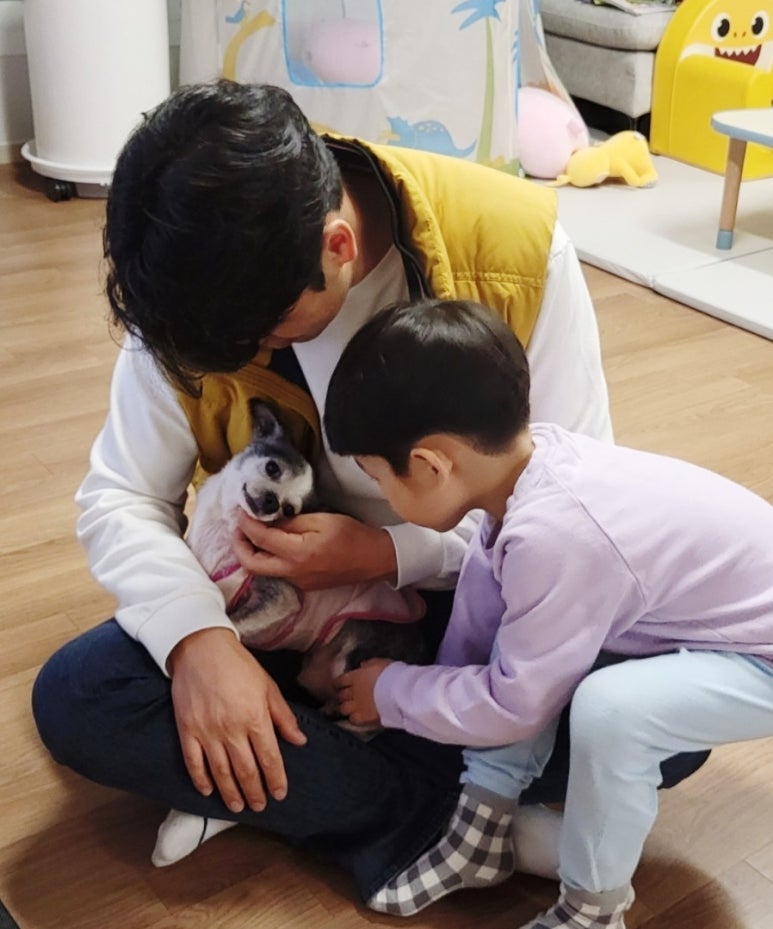 (주)점핑파크 이미지