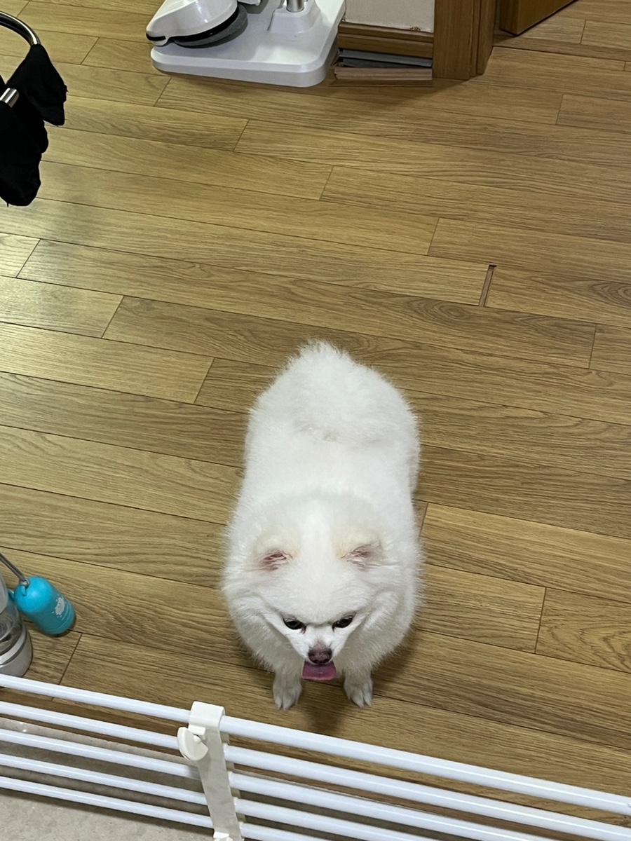 (주)더좋은사람 이미지