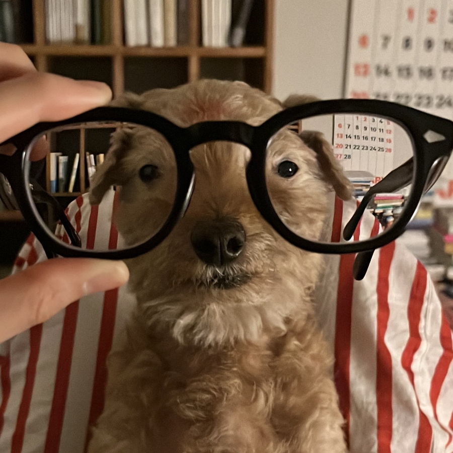 탭탭 이미지