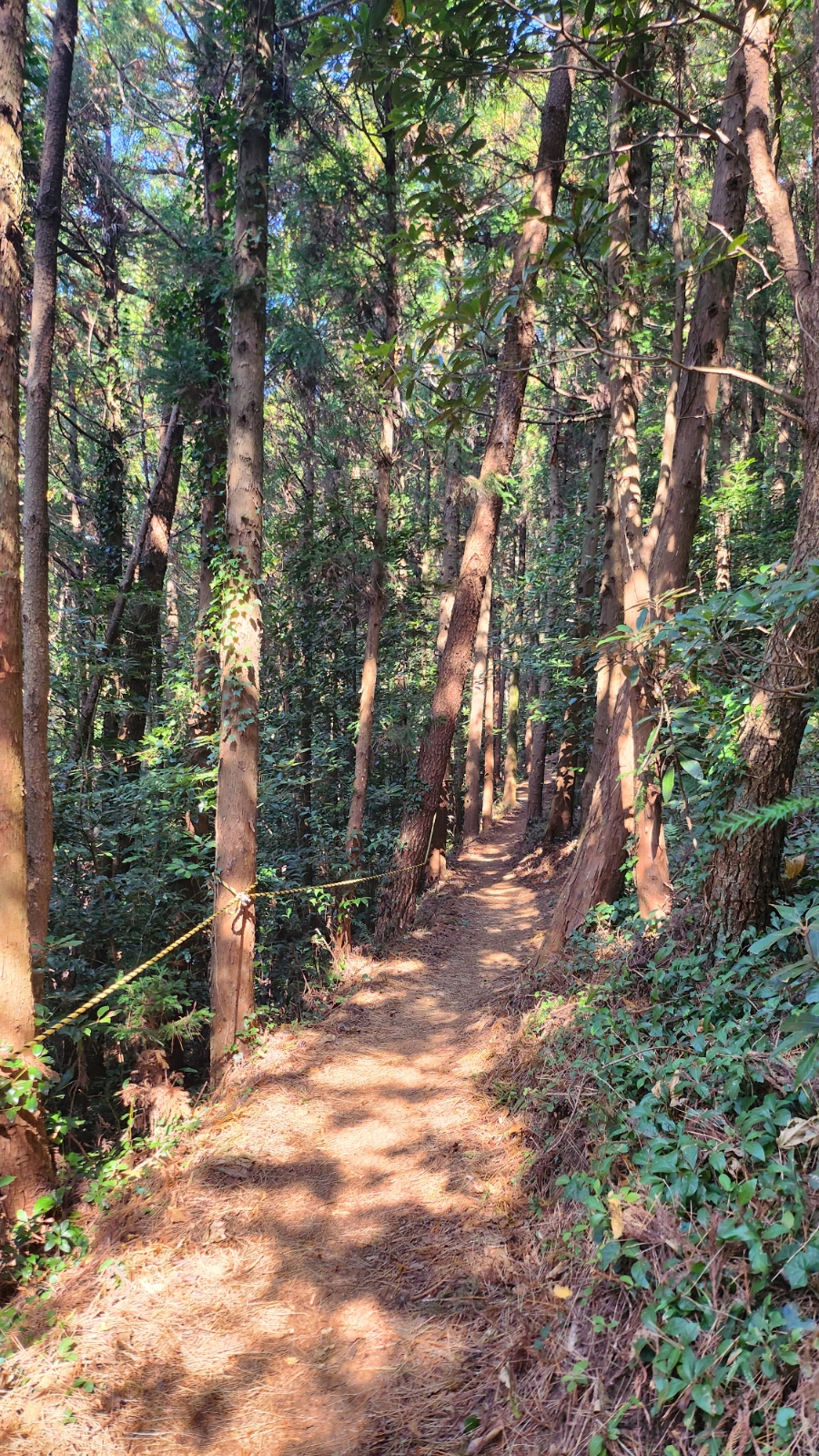 제주동마트 이미지