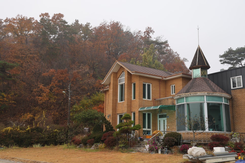 맹골농원 이미지