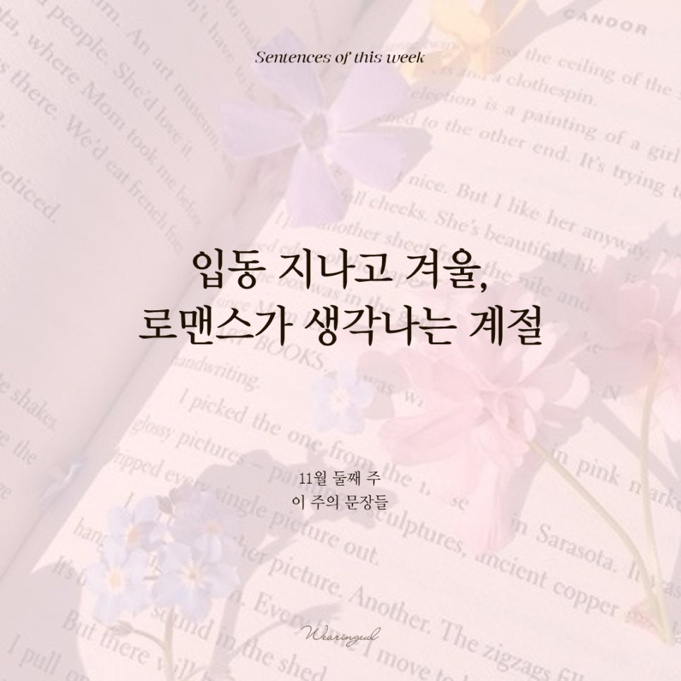 스타일입다별 이미지