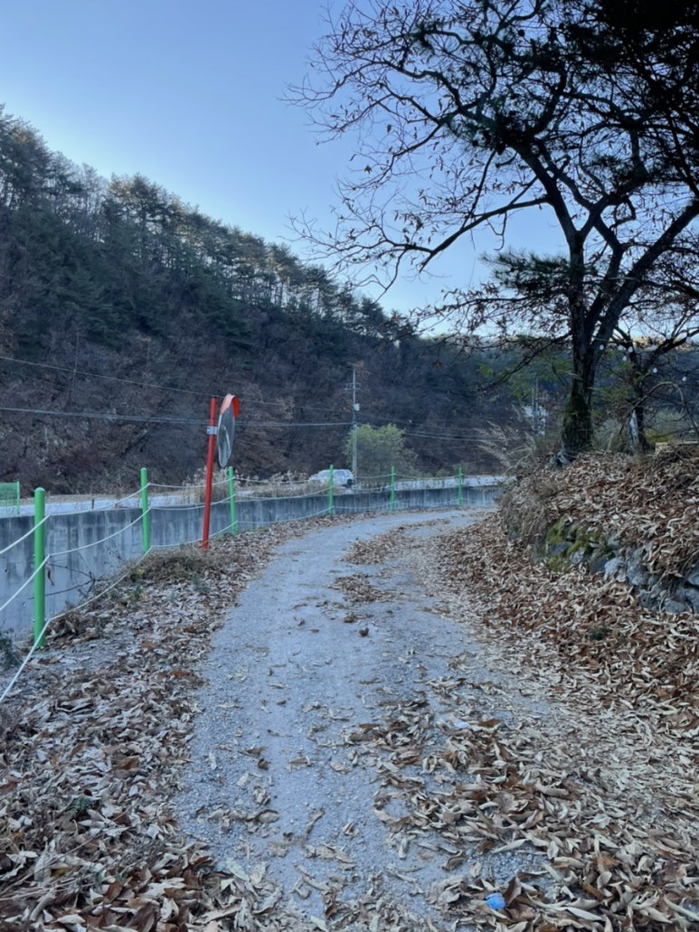 약사밤나무집캠핑장 이미지